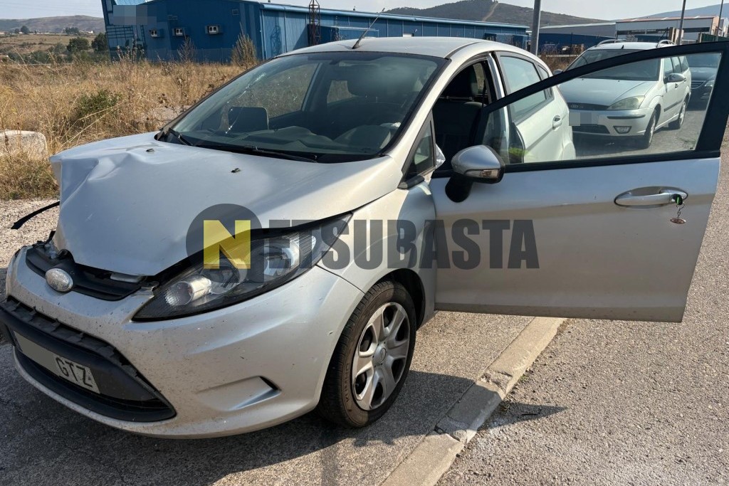 Ford Fiesta 1.4 TDCi 2010
