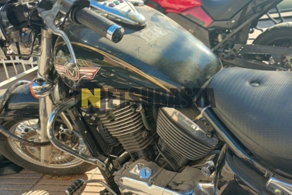Kawasaki VN 800 Classic 2006