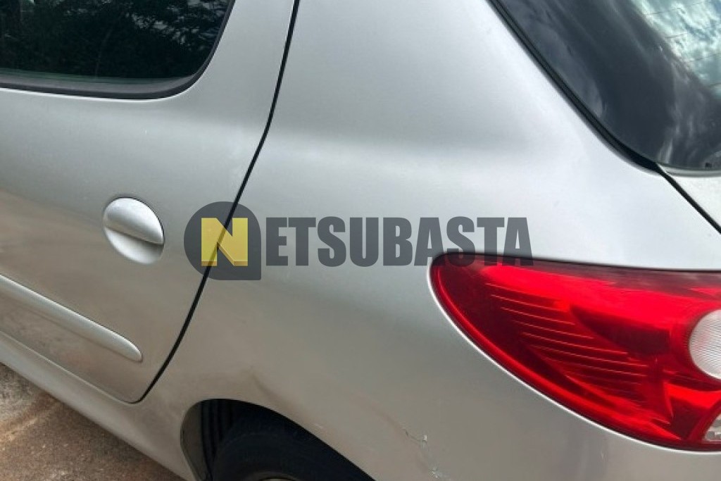 Peugeot 206 + 1.1 2010
