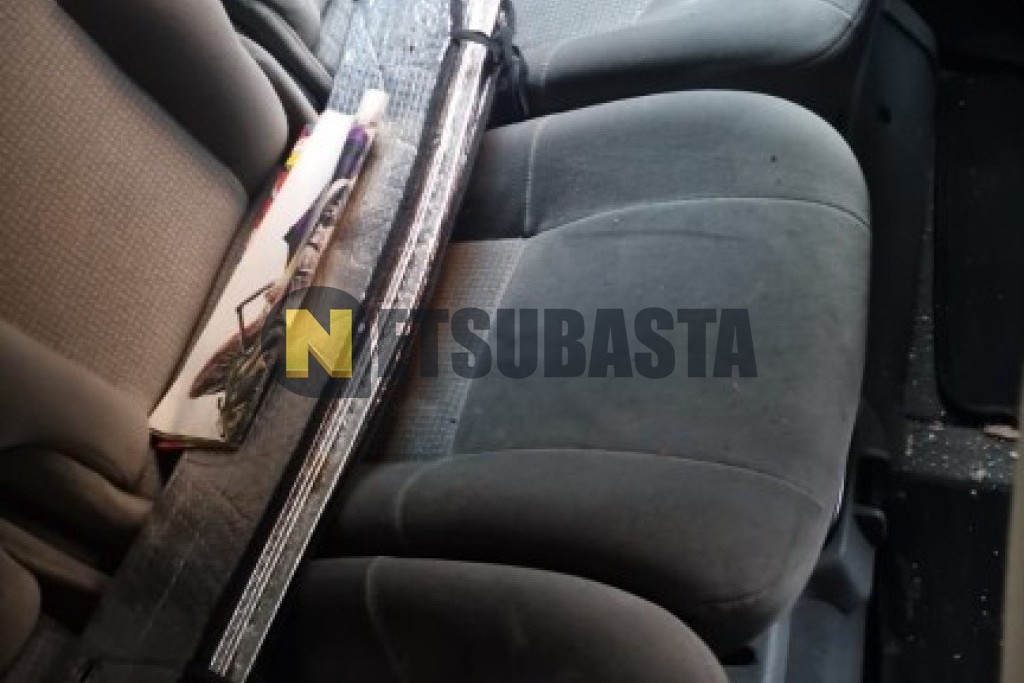 Renault Scenic 1.9 dCi 2002