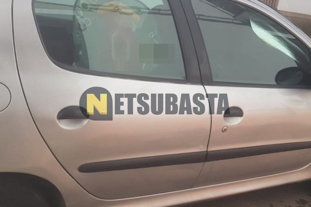 Peugeot 206 1.9 D 2001