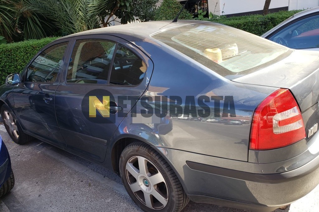 Skoda Octavia 1.9 TDI 2007