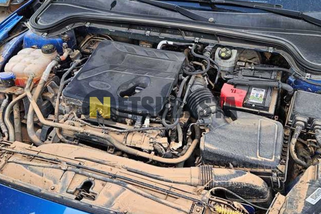 Ford Focus 1.5 EcoBoost 2019