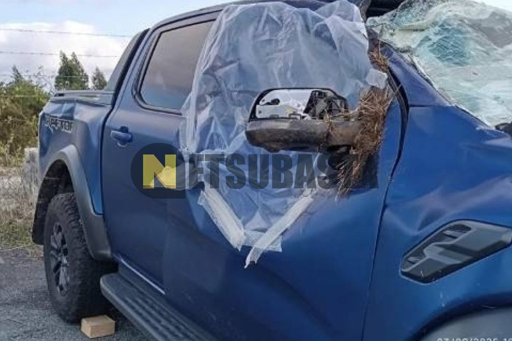 Ford Ranger Raptor V6 3.0 EcoBoost e-AWD Aut. 2025