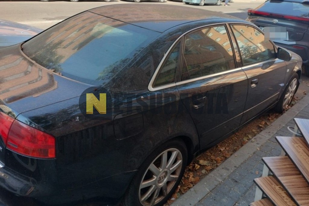 Audi A4 2.5 TDI multitronic 7 vel. 2006