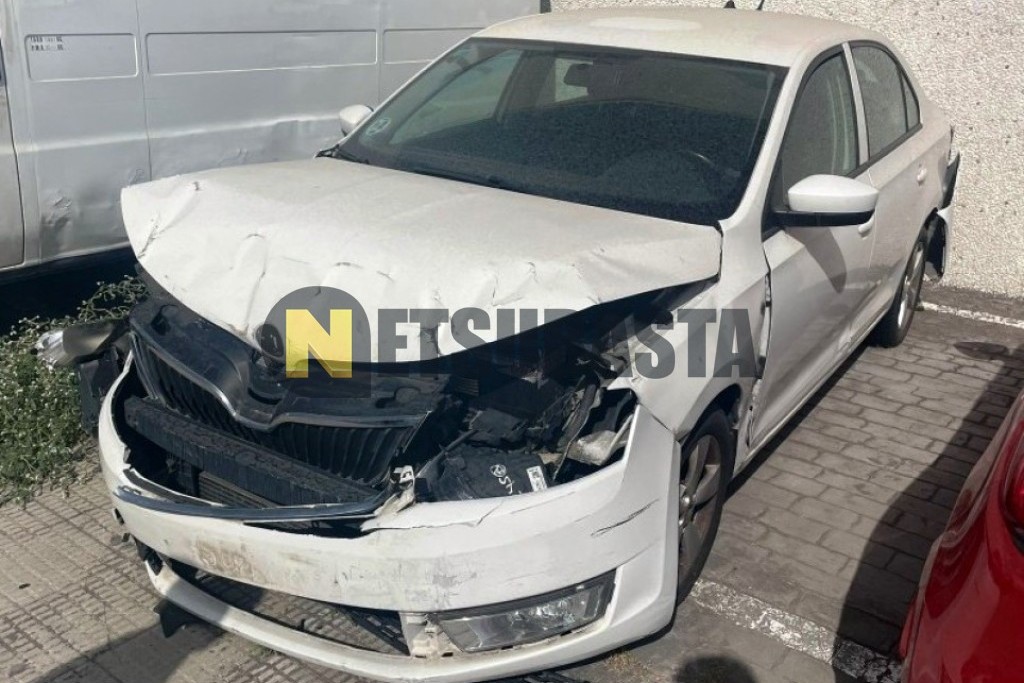 Skoda Rapid 1.6 TDI 2013