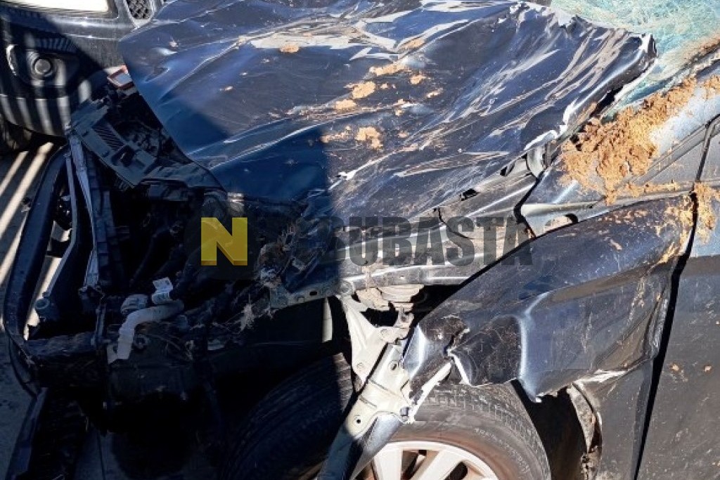 Seat Ibiza 1.0 TSI 2018