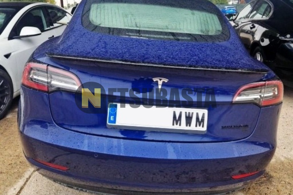 Tesla Model 3 Tracción integral 2019