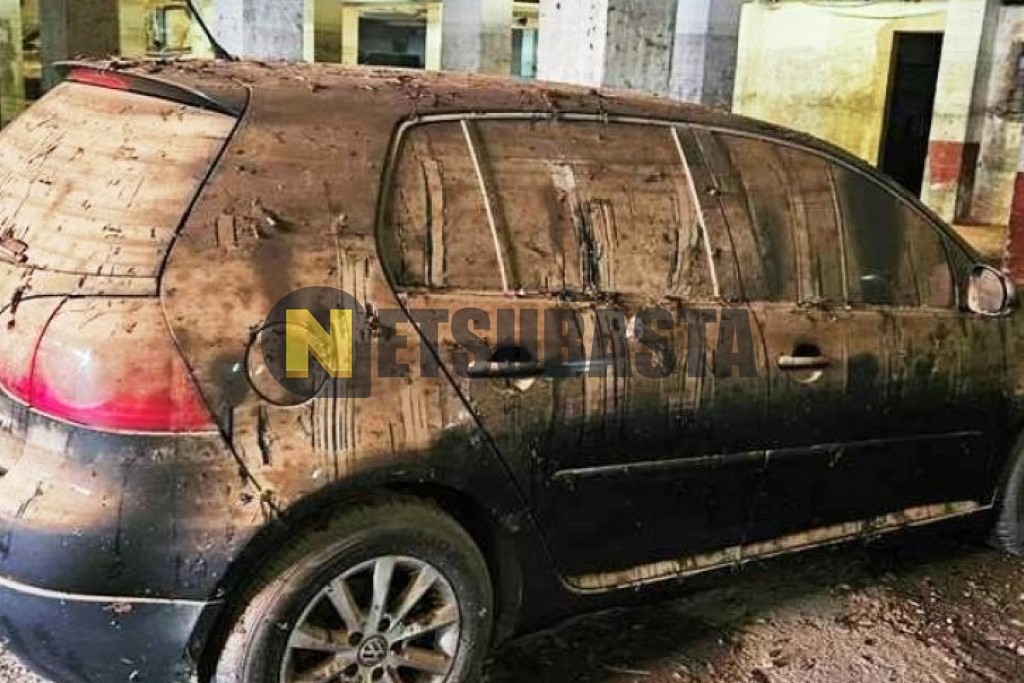 Volkswagen Golf 1.9 TDI 2007