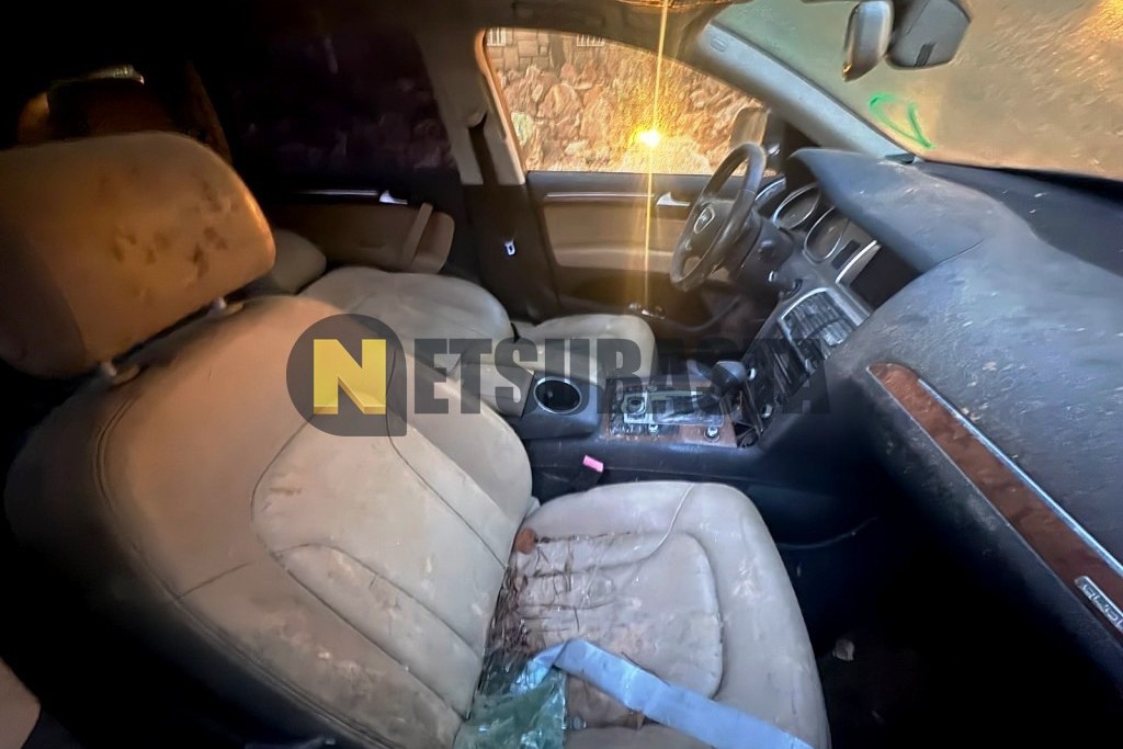 Audi Q7 4.2 TDI quattro tiptronic 8 vel. 2013