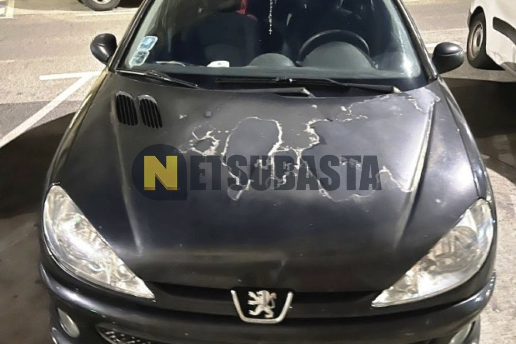 Peugeot 206 2.0 HDi 2005