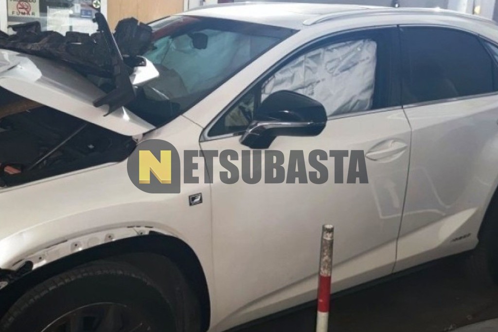 Lexus NX 300h 4WD 2017