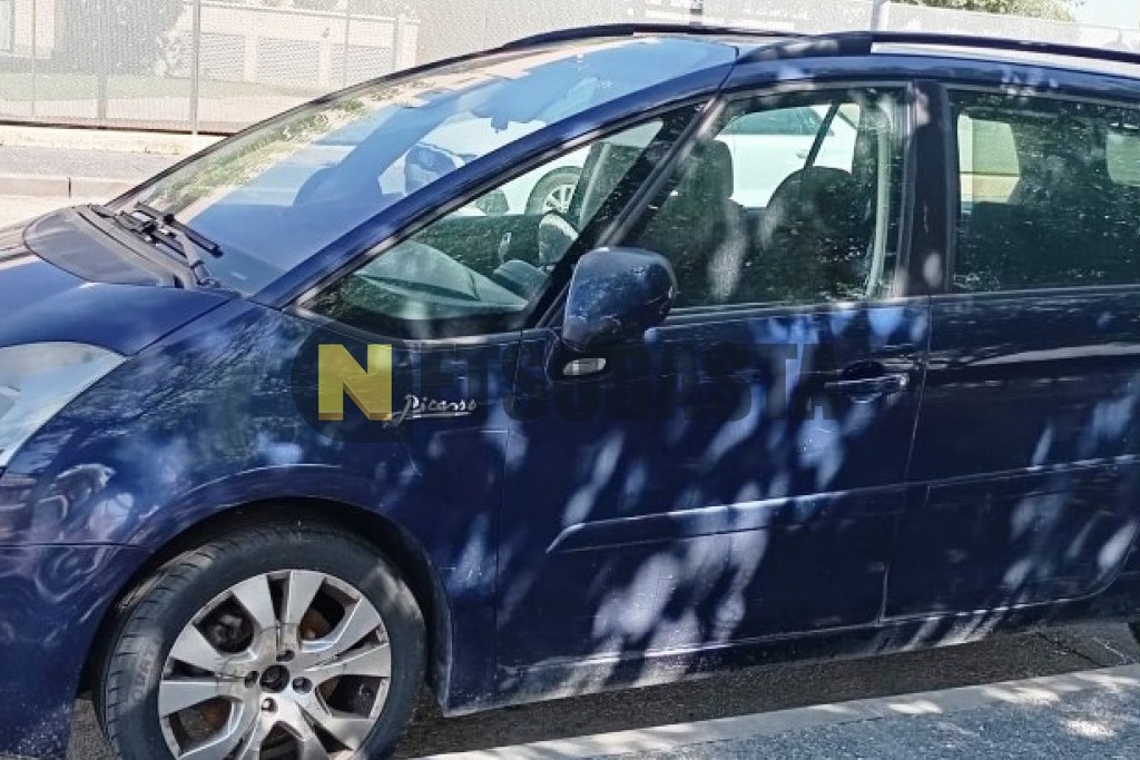 Citroën Grand C4 Picasso 2.0 HDi FAP CMP 2007