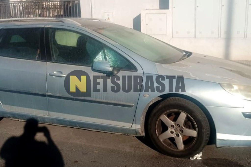 Peugeot 407 SW ST 2.0 HDi FAP 2005