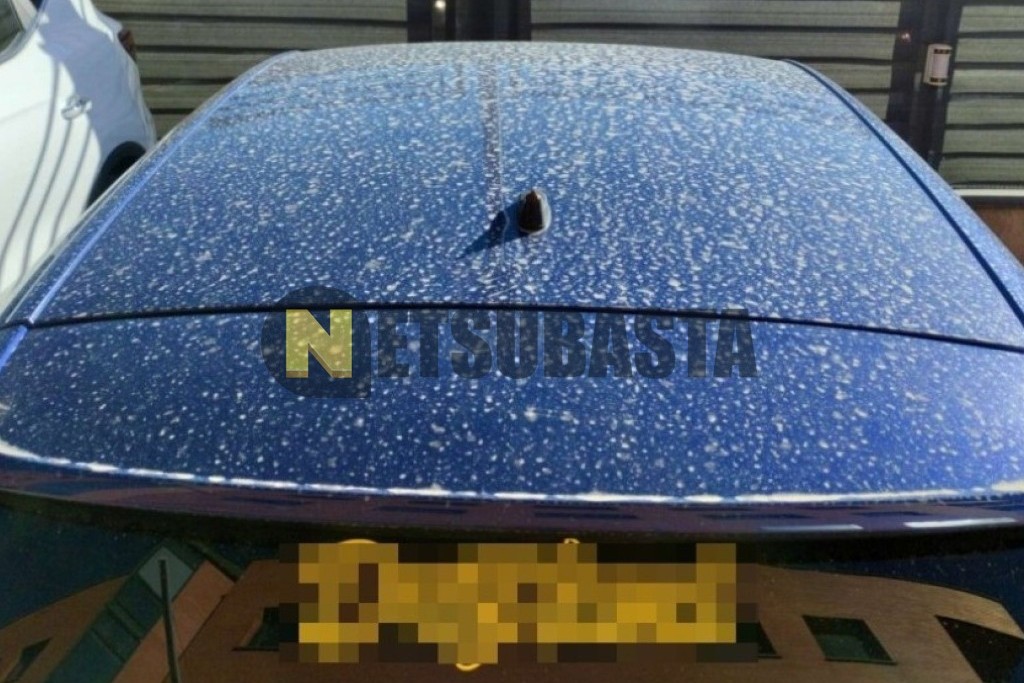 Peugeot 308 1.2 Puretech 2019