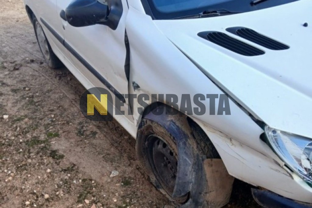 Peugeot 206 1.9 D 2001