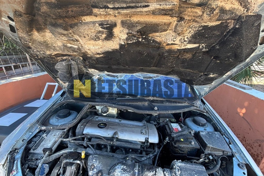 Peugeot 206 Coupé Cabrio 2.0 2001