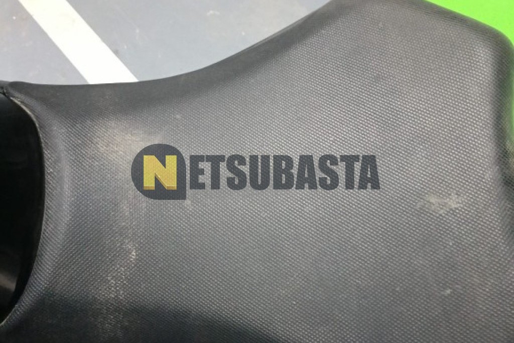 Kawasaki NINJA 250 R 2009