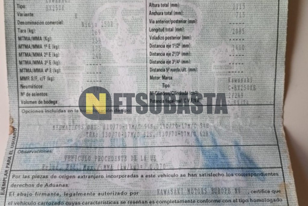 Kawasaki NINJA 250 R 2009