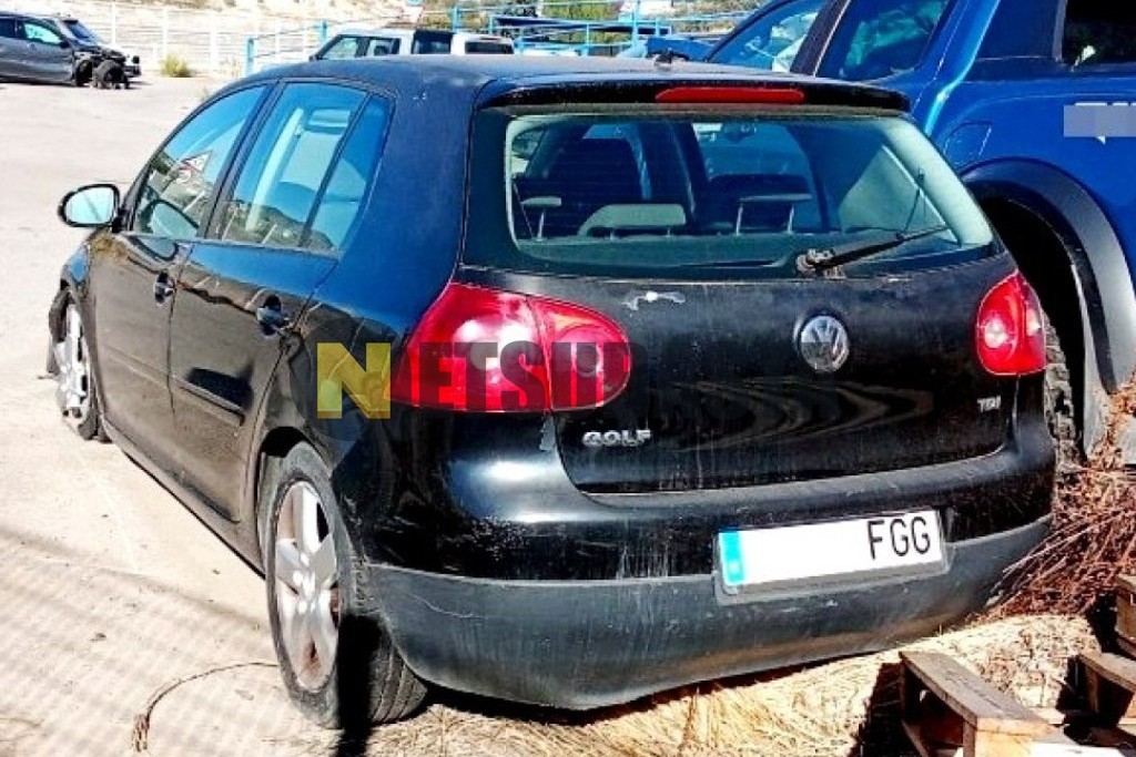 Volkswagen Golf 1.9 TDI 2006