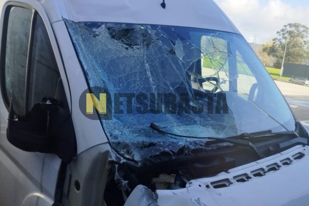 Fiat Ducato Furgon 2.3 Multijet 2021