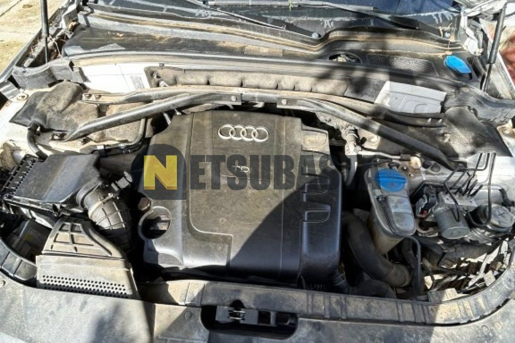Audi Q5 2.0 TDI quattro S tronic 7 vel. DPF 2009