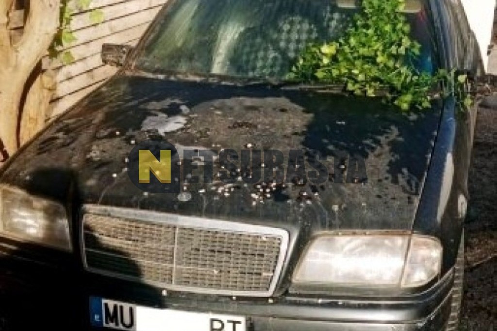 Mercedes-Benz C 220 1993