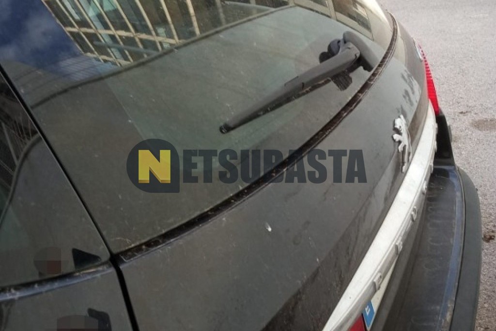 Peugeot 407 SW 2.0 HDi 2005