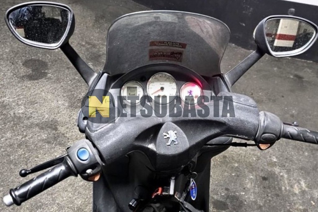 Peugeot ELYSTAR 50 2008