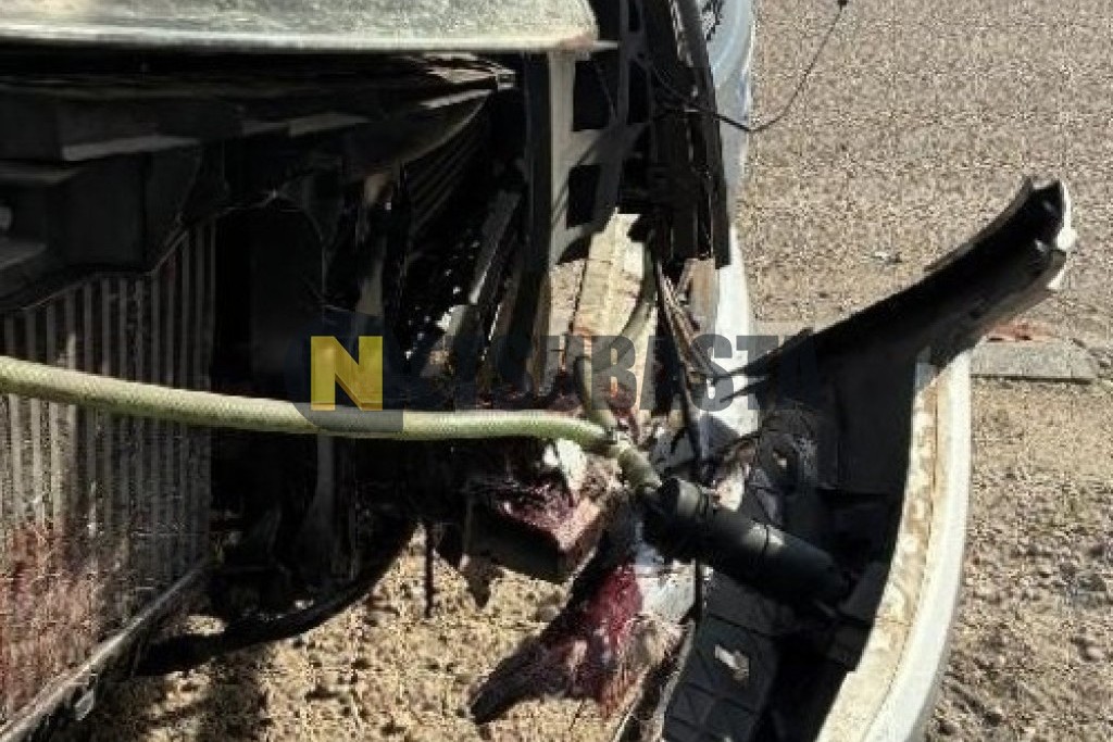 Audi Q7 3.0 TDI quattro tiptronic DPF 2009