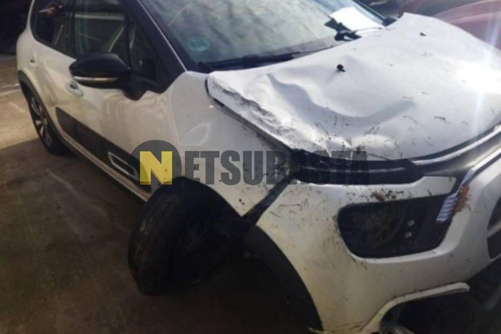 Citroën C3 1.5 BlueHDi 2024