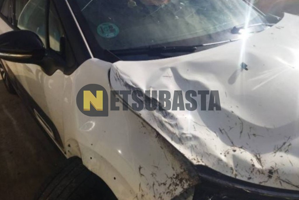 Citroën C3 1.5 BlueHDi 2024