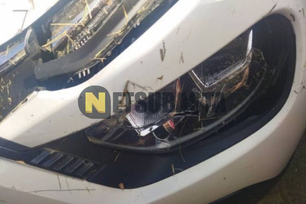 Citroën C3 1.5 BlueHDi 2024