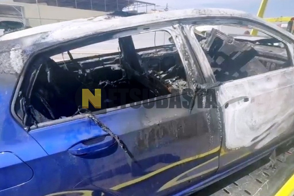 Volkswagen Golf R 2.0 TSI DSG 7 vel. 4Motion 2021