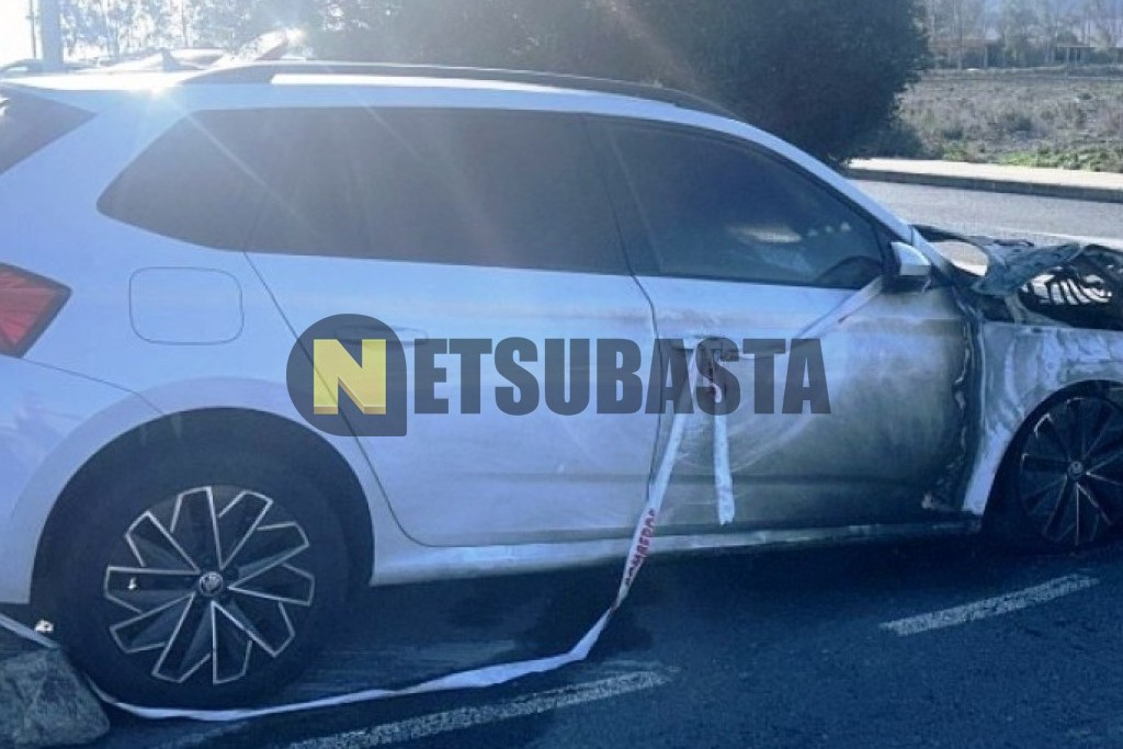 Skoda Kamiq 1.0 TSI 2019