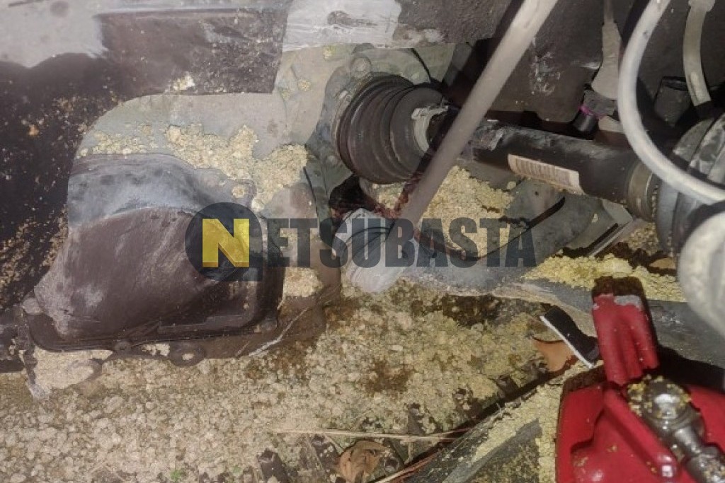 Volkswagen Golf 2.0 TSI DSG 6 vel. 2016