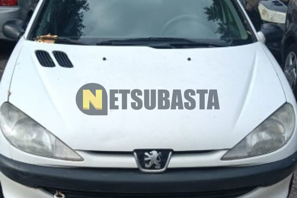 Peugeot 206 1.9 D 1999
