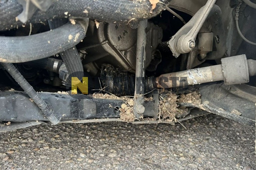 Renault Megane Sport Tourer 1.5 Blue dCi 2019