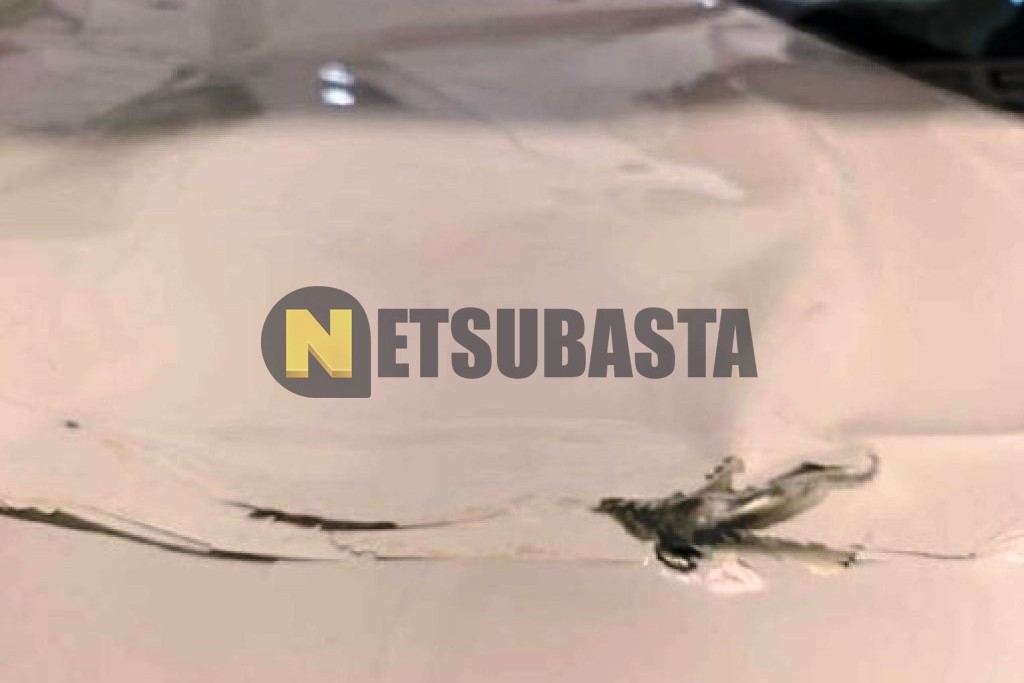 Skoda Fabia 1.0 TSI 2025