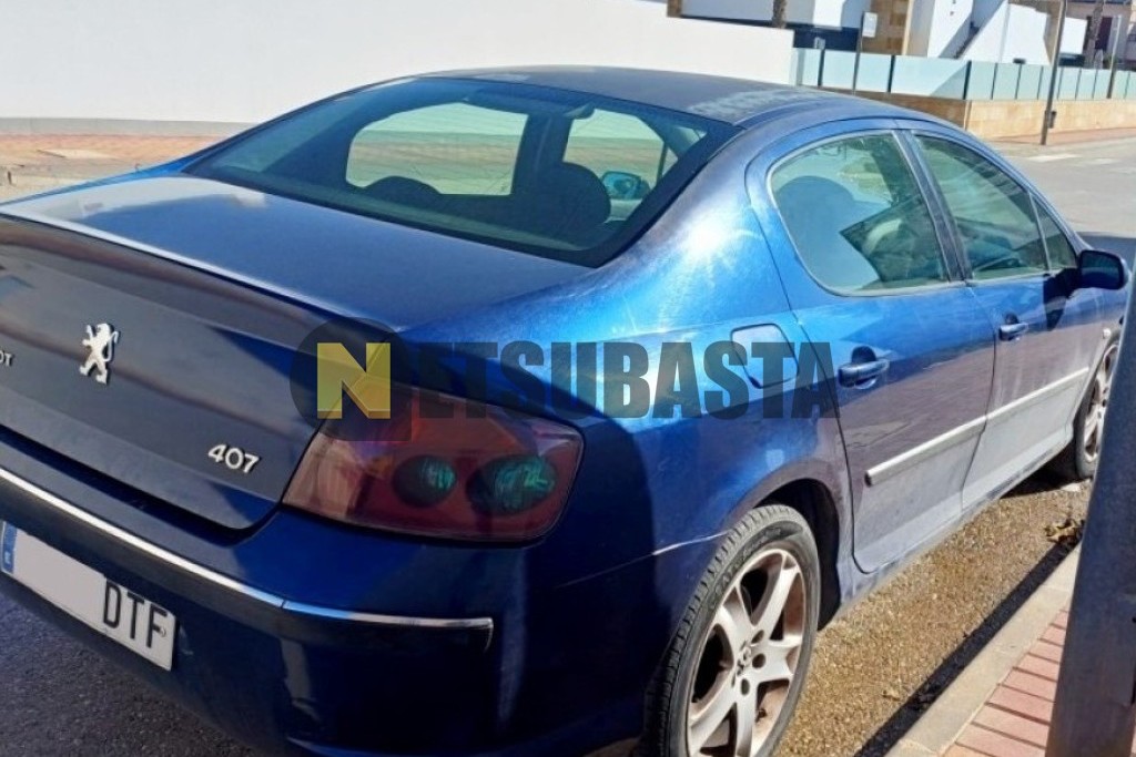 Peugeot 407 2.0 HDi FAP 2005