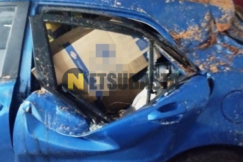 Kia Rio 1.2 DPi 2022