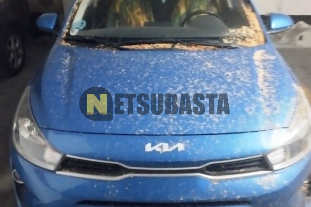 Kia Rio 1.2 DPi 2022