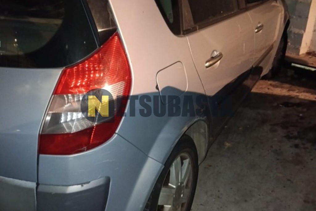 Renault Scenic 1.5 dCi 2004