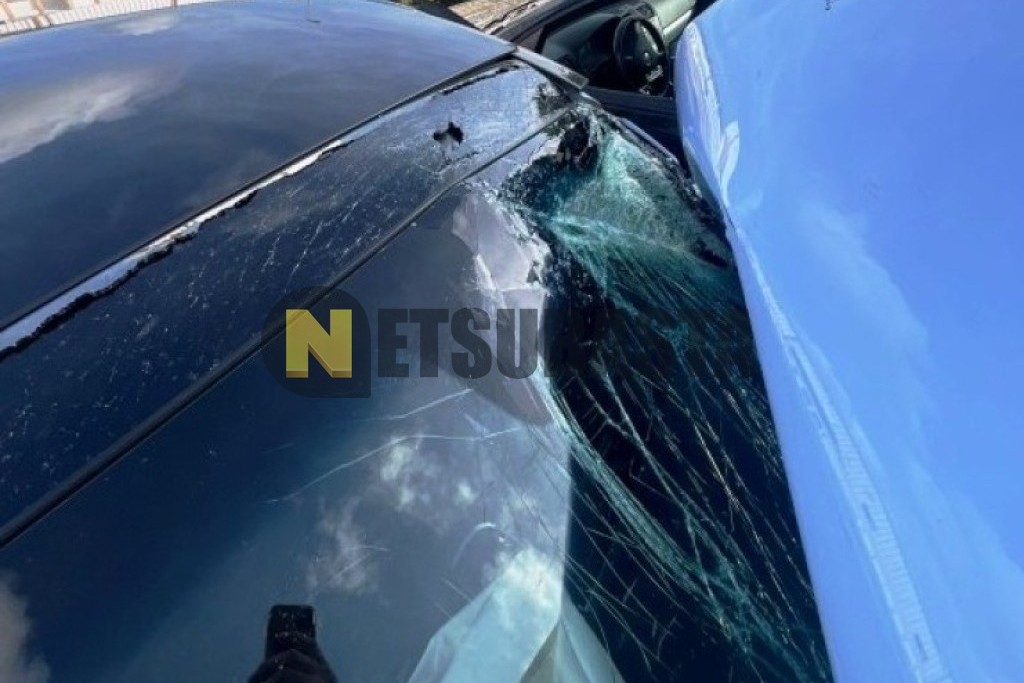 Hyundai i30 2.0 T-GDi N Performance 2019