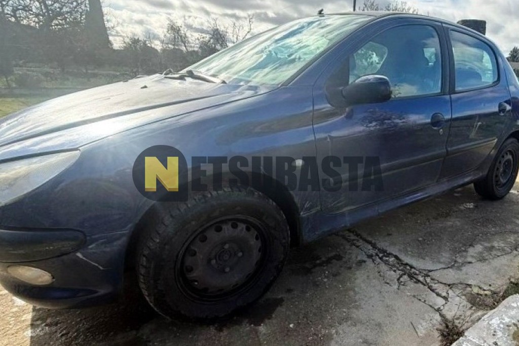 Peugeot 206 2.0 HDi 2002
