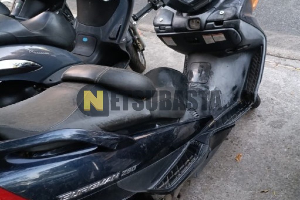 Suzuki BURGMAN 250 2004