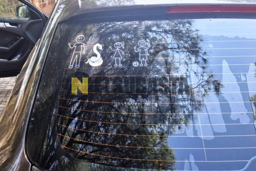 Audi A4 Avant 2.0 TDI multitronic DPF 2010