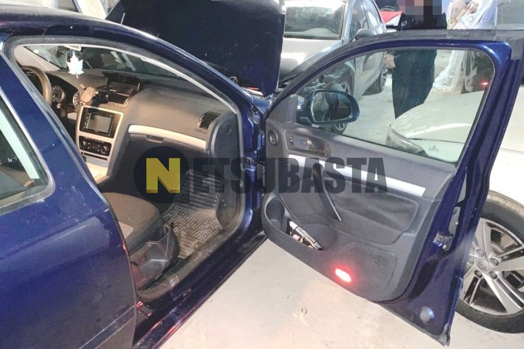 Skoda Octavia 1.9 TDI 2009