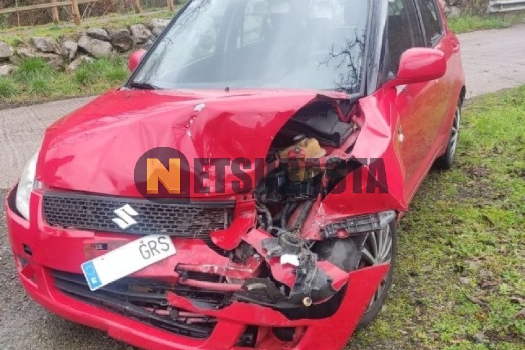 Suzuki Swift 1.3 DDiS 2009