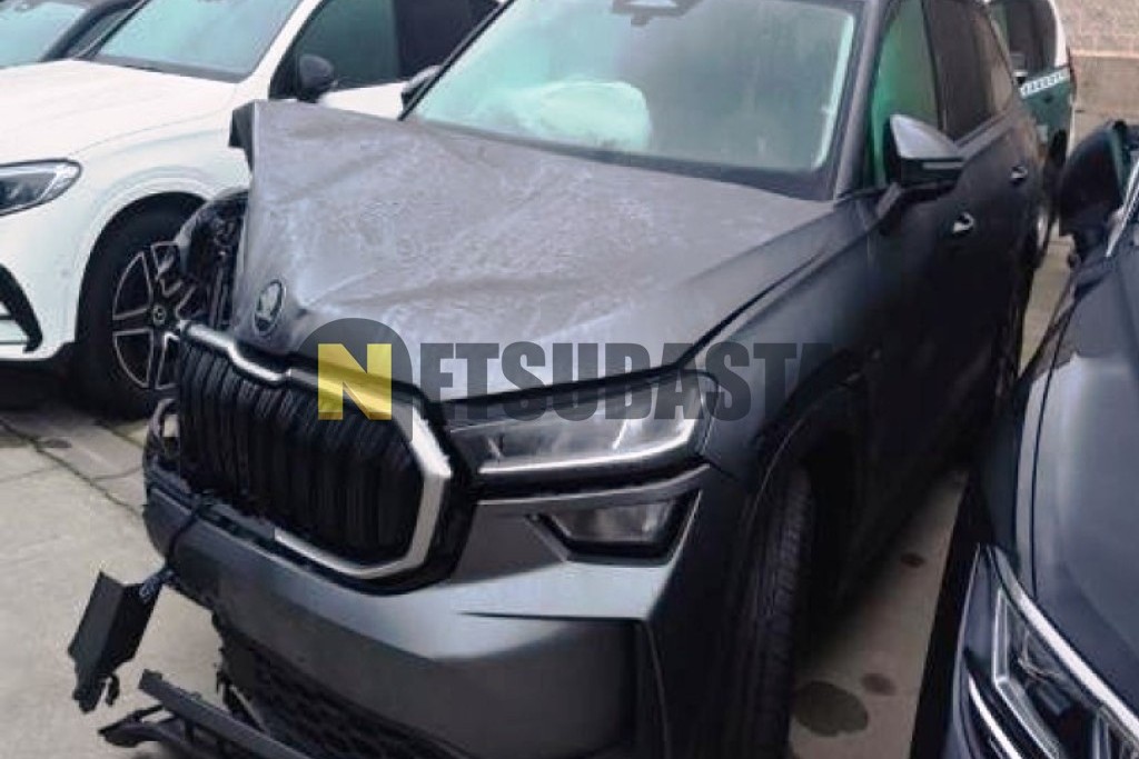 Skoda Kodiaq 2.0 TDI DSG 2025